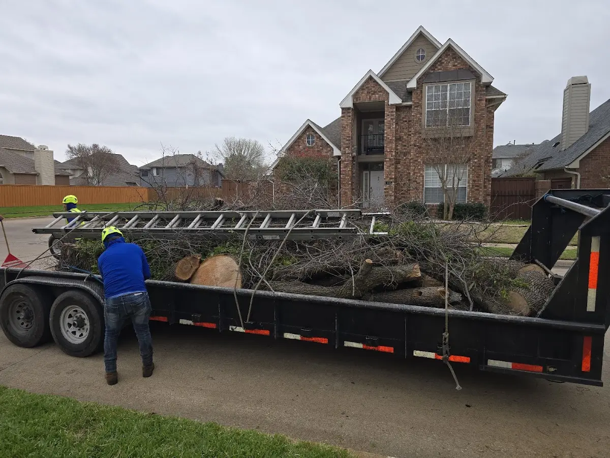 Expert Tree Fertilization with proper safety equipment in Newport
